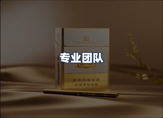 专业团队